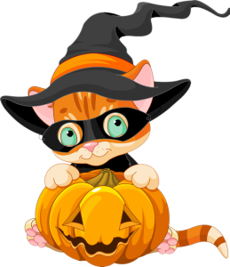 a halloween kitty